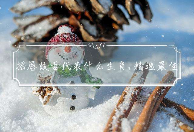 摇唇鼓舌代表什么生肖,精选最佳释义词语作答