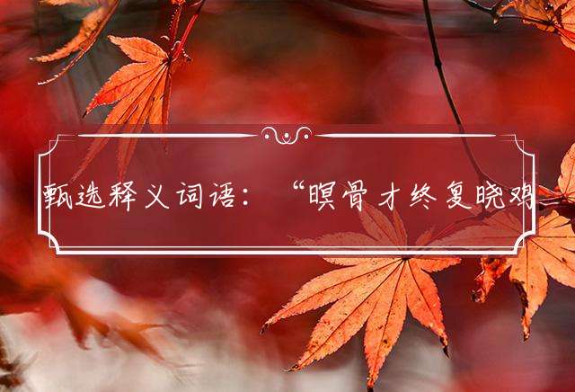 甄选释义词语：“暝骨才终复晓鸡”是指代表什么生肖，成语阐述解析