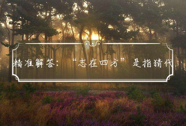 精准解答：“志在四方”是指猜代表打一正确生肖完美解释成语解析