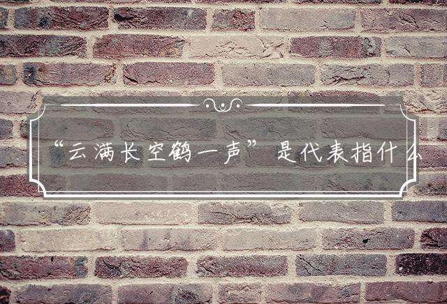 “云满长空鹤一声”是代表指什么生肖，打一最佳正确生肖词语含义完美阐述释义解释落实